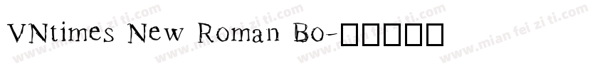 VNtimes New Roman Bo字体转换